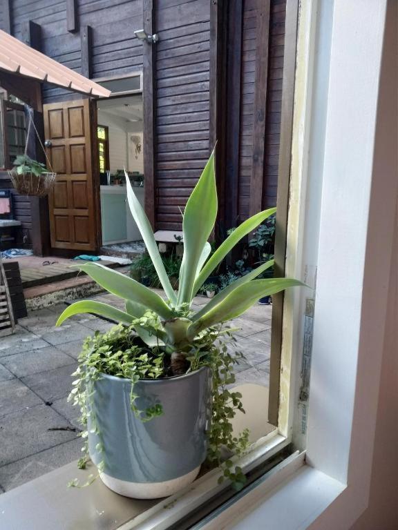 Chalet Ohana, Airport Family House Faaa Екстер'єр фото